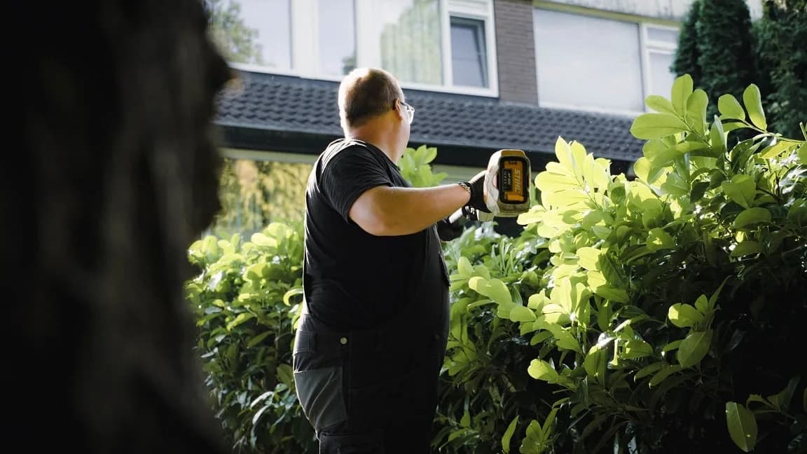 Verzorgde borders rond zakelijk pand