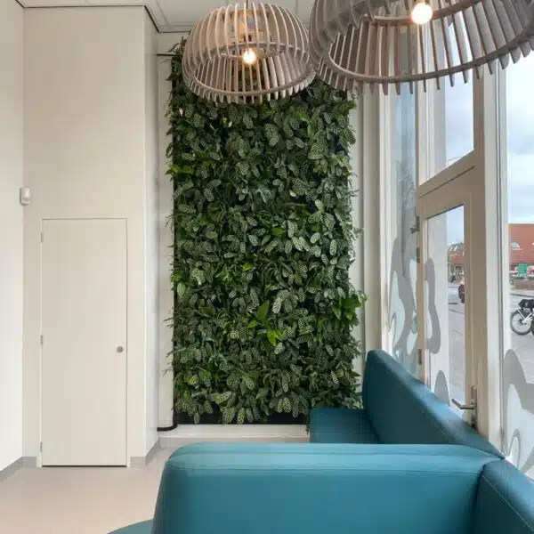 Ontvangstruimte met groene wand