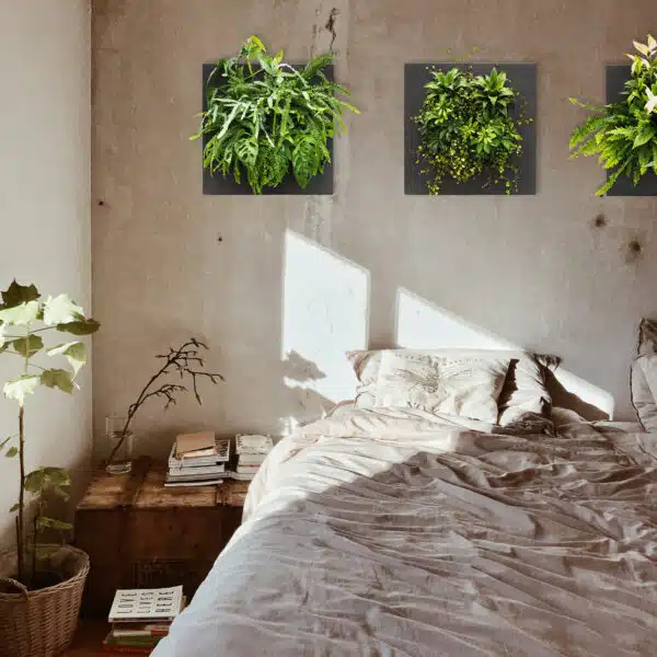 Plantenschilderij in interieur