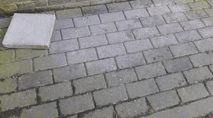 Groene aanslag tuin