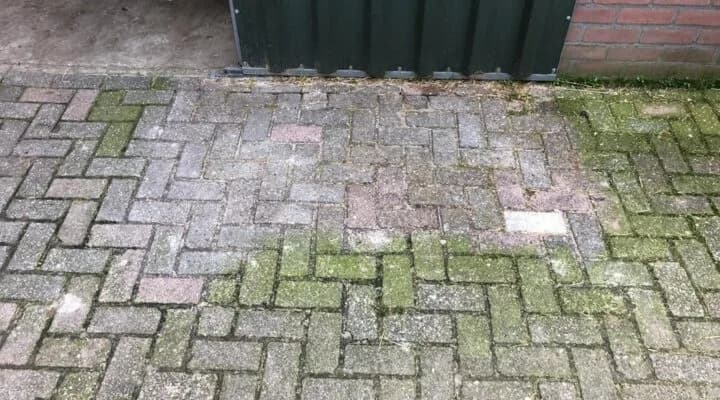 Groene aanslag op tegels