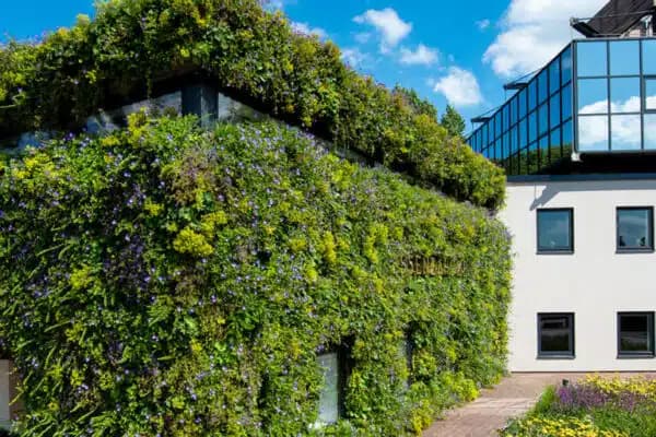 Groen inspiratie
