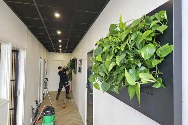 Groene wand detail