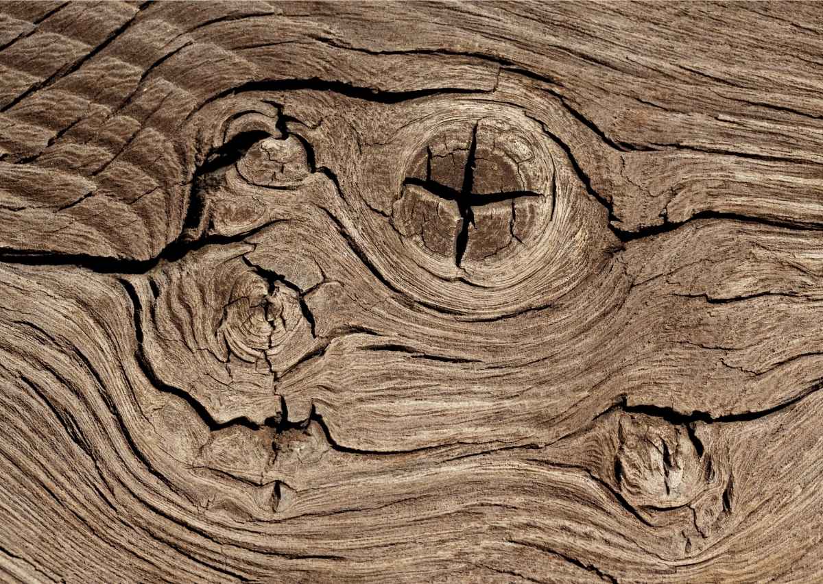 Macro beeld van houtnerven