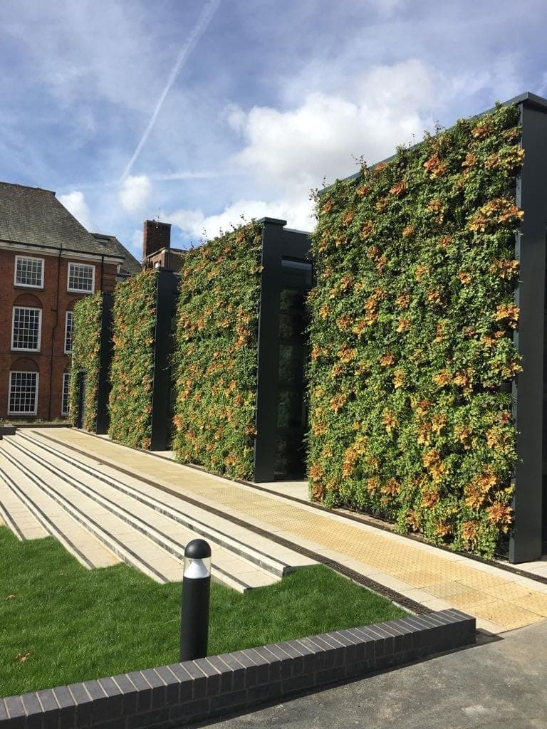 Groene wand buiten aan een pand