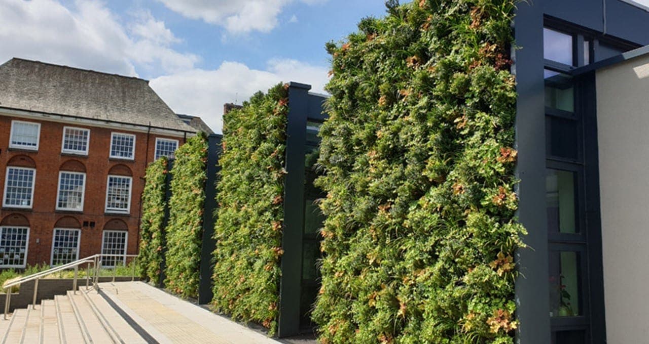 Groene wanden buiten, duurzaamheid