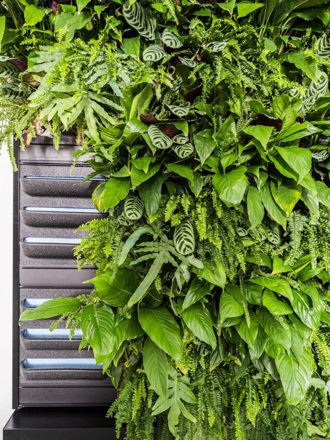 Verticaal tuinieren systeem, LivePanel