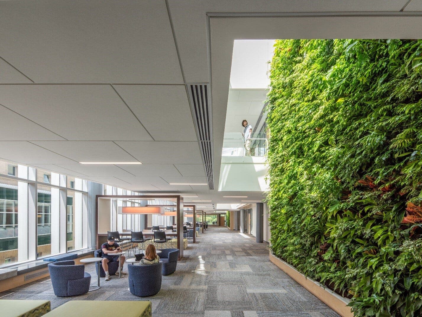 Groene wanden bij hogeschool, grootschalig project