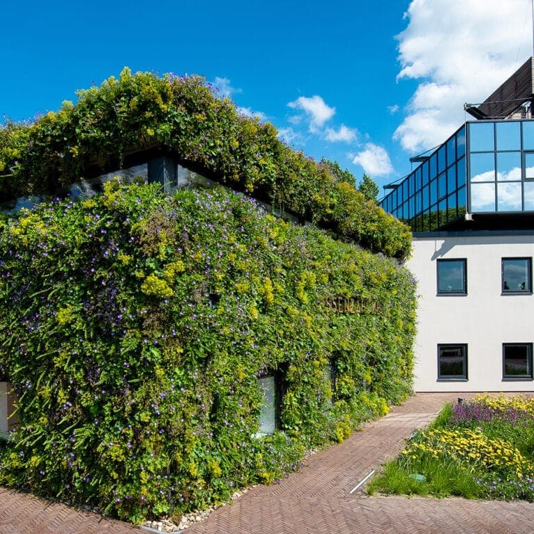 Groene wand buiten bij een bedrijfspand