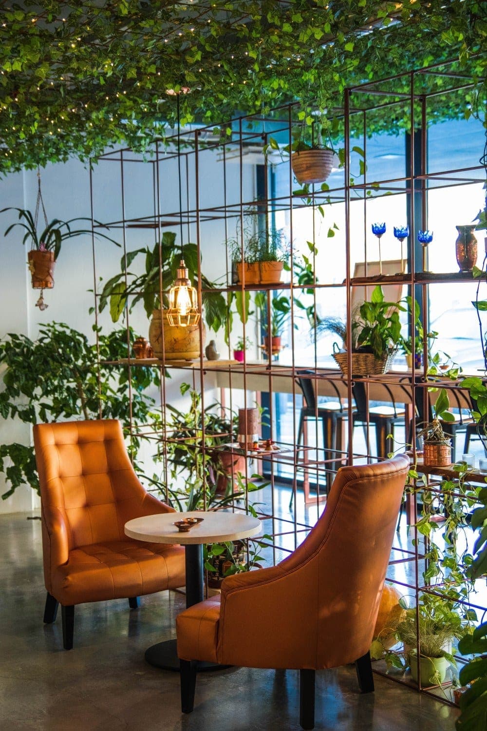 Beplanting, planten en groen