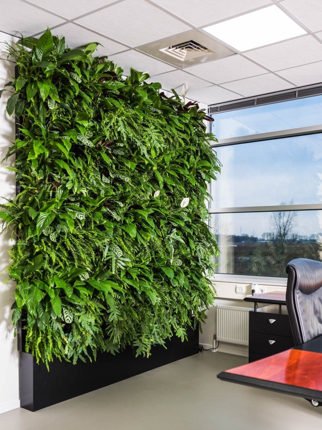 Groene wand op kantoor, Mobilane LivePanel