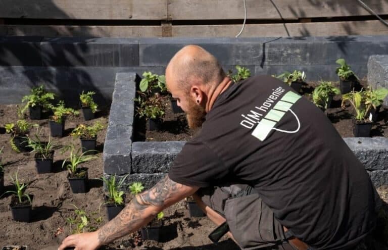 Beplanting en tuinonderhoud