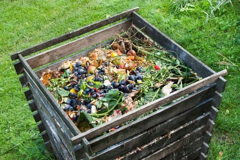 Compost in november