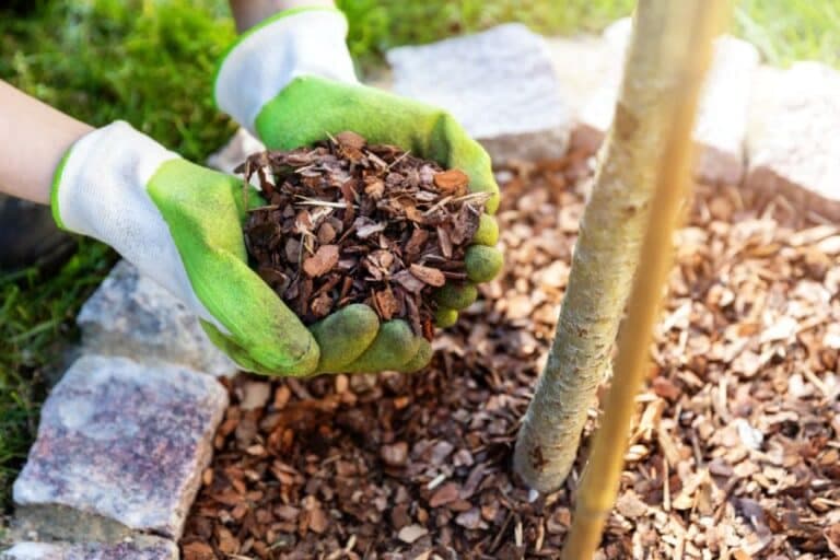 Mulch van bladeren en takken