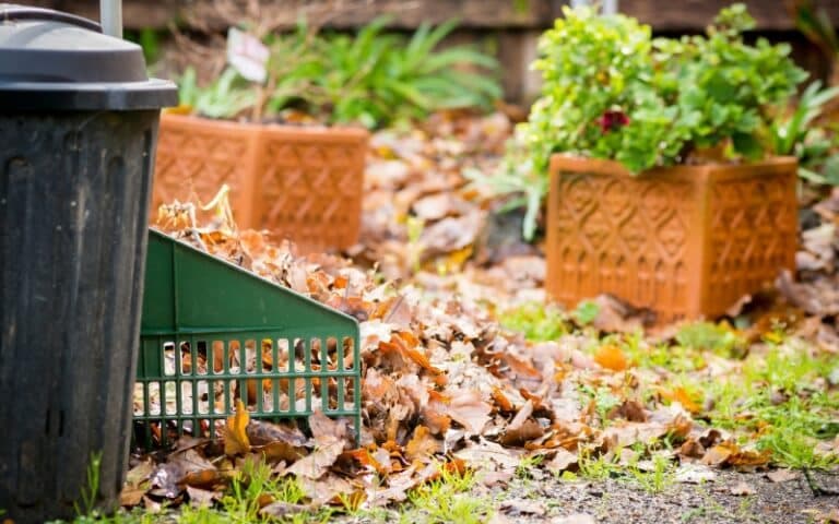 Tuinonderhoud tegen groene aanslag