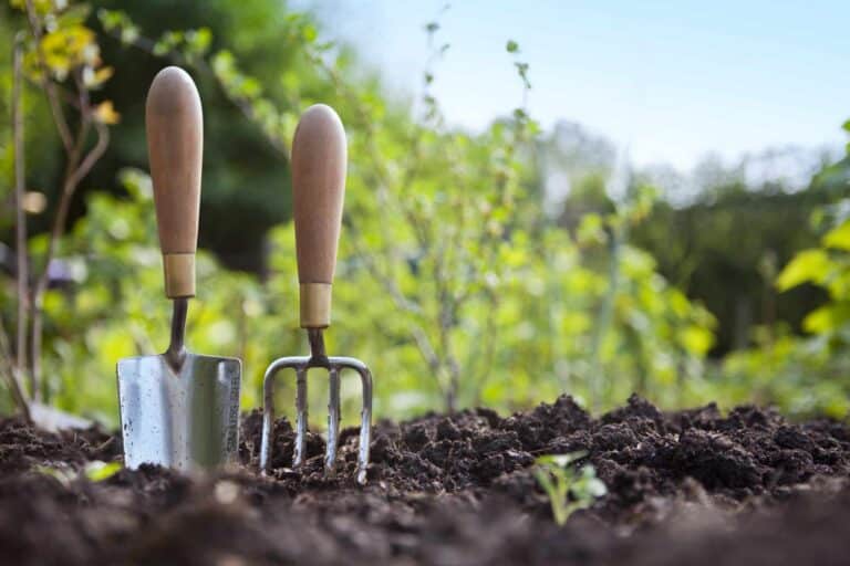 Planten in maart