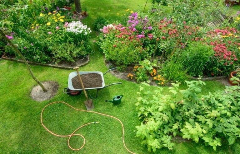 Wilde bloemen in de tuin