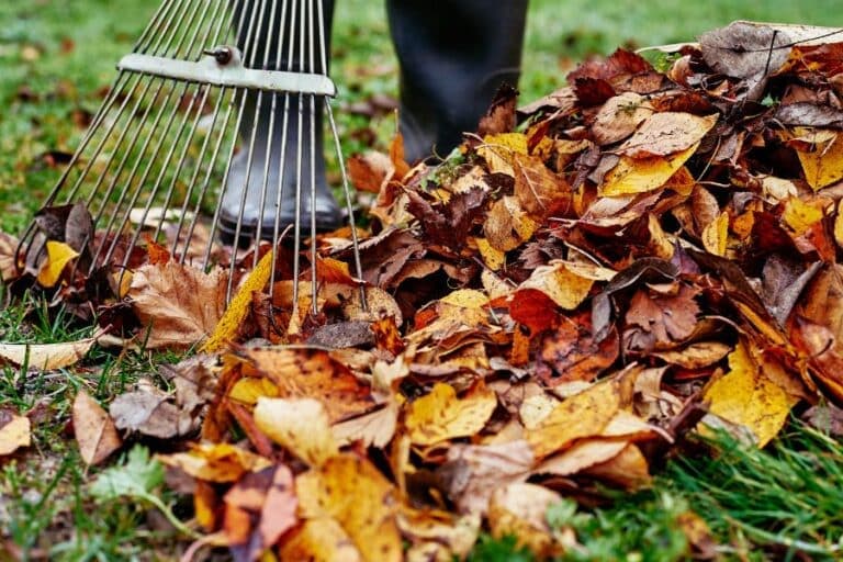 Voorjaarsschoonmaak in de tuin