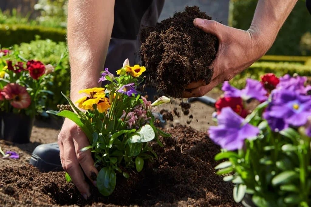 Wat valt er onder tuinonderhoud?