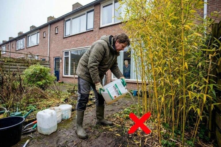 Waarschuwing: bamboe verwijderen met chloor
