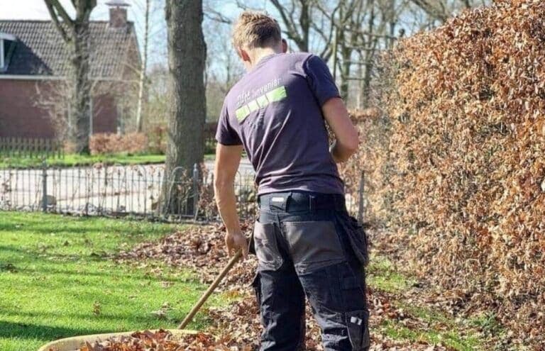 Blad ruimen in het najaar