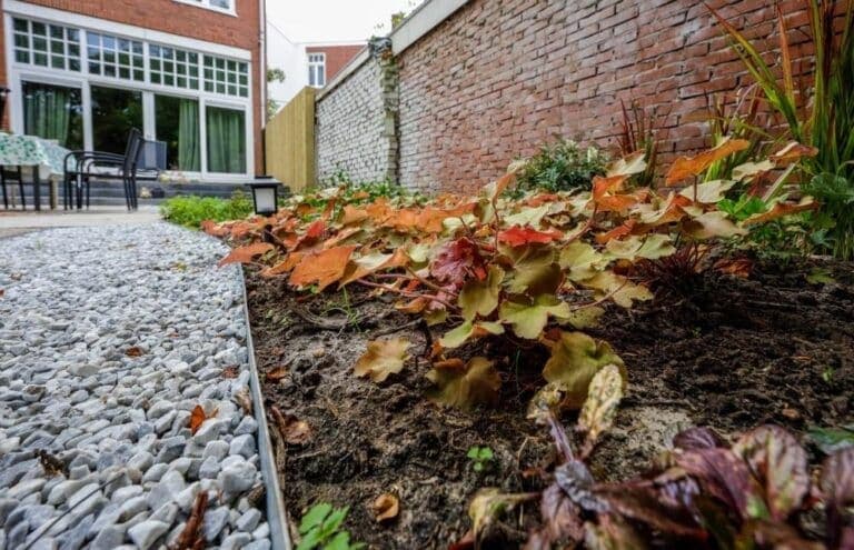 Herfstbladeren tijdens najaarsonderhoud