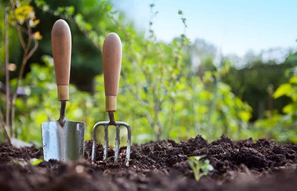Tuingereedschap voor voorjaarsonderhoud