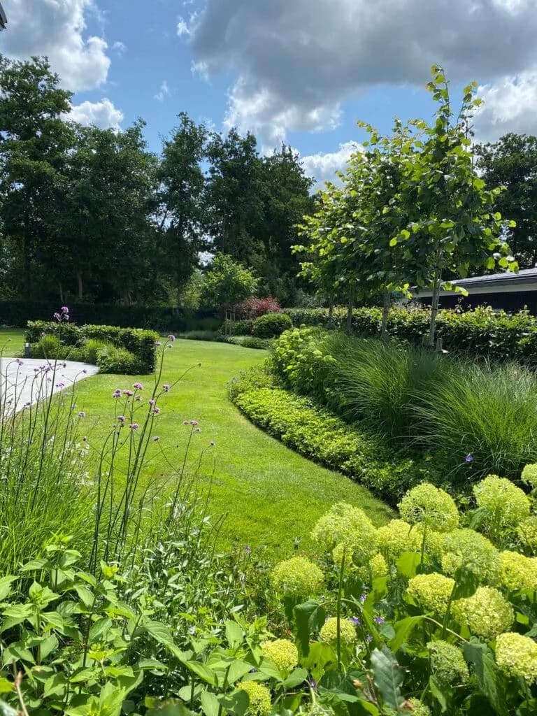 Rondingen in gazon met groene borderbeplanting