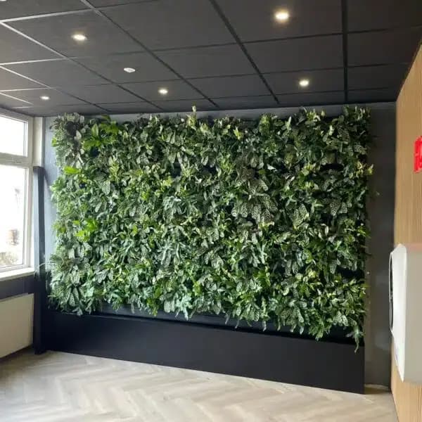 Groene wand op kantoor bij HOS Oil in Surhuisterveen