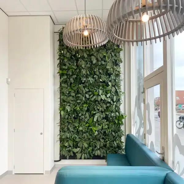 Greenwall aanleggen