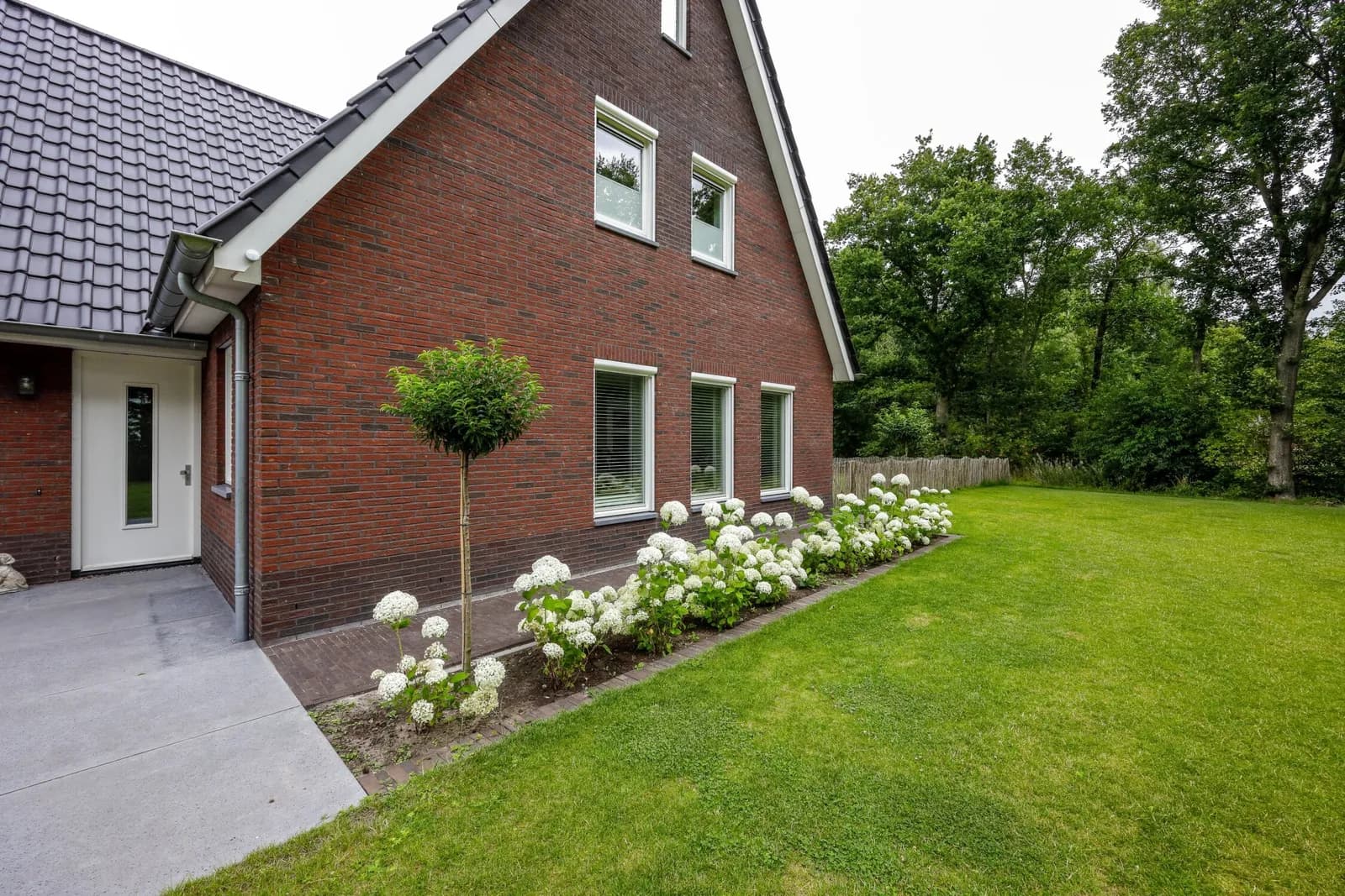 Landelijke tuin met vijver in Bakkeveen, beeld 3