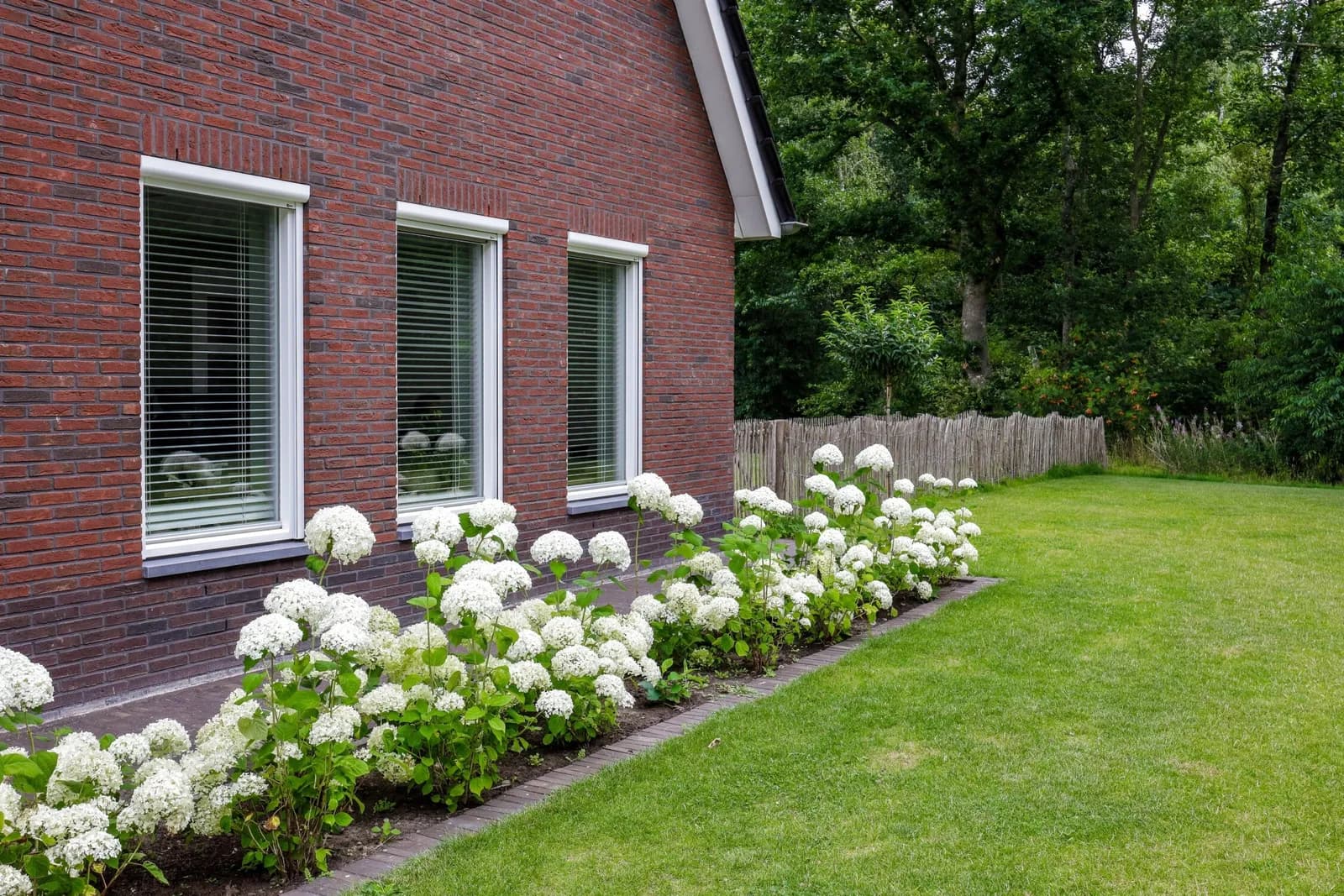 Landelijke tuin met vijver in Bakkeveen, beeld 4