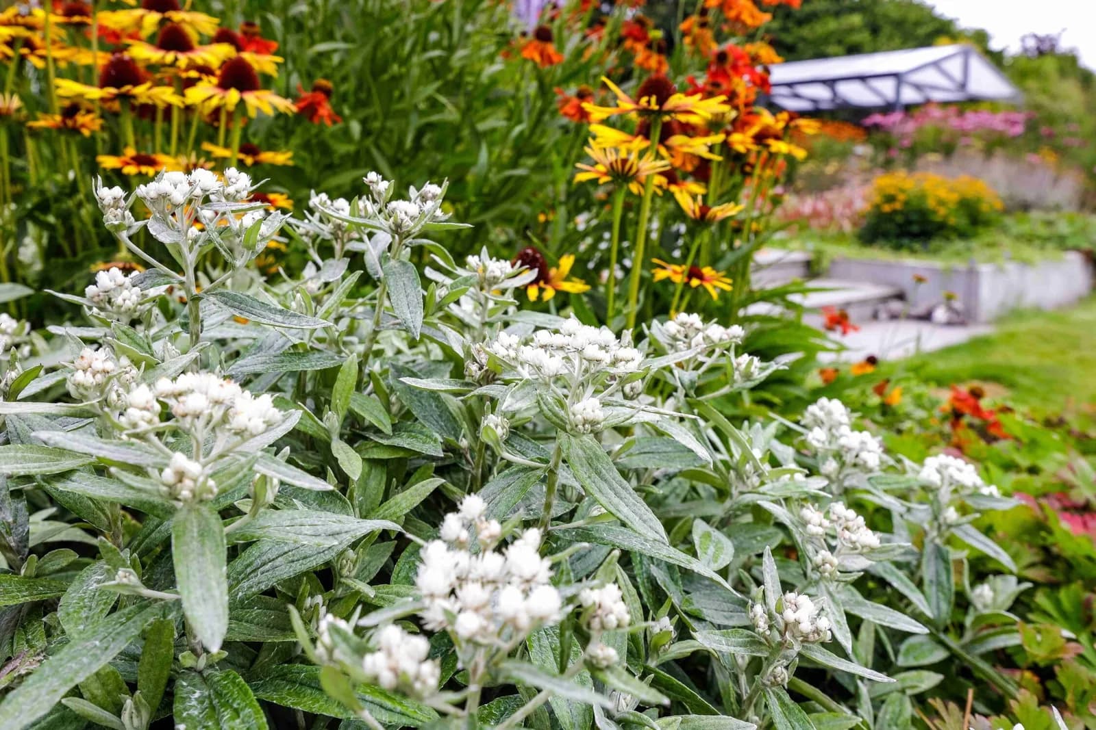 Landelijke tuin met vijver in Bakkeveen, beeld 15