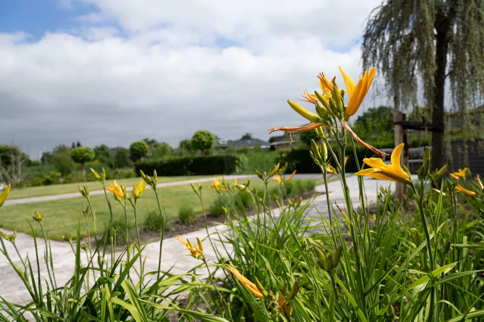 Natuurlijke tuin in Drachten, beeld 1