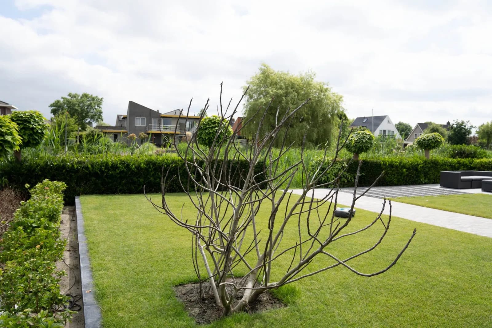 Natuurlijke tuin in Drachten, beeld 4