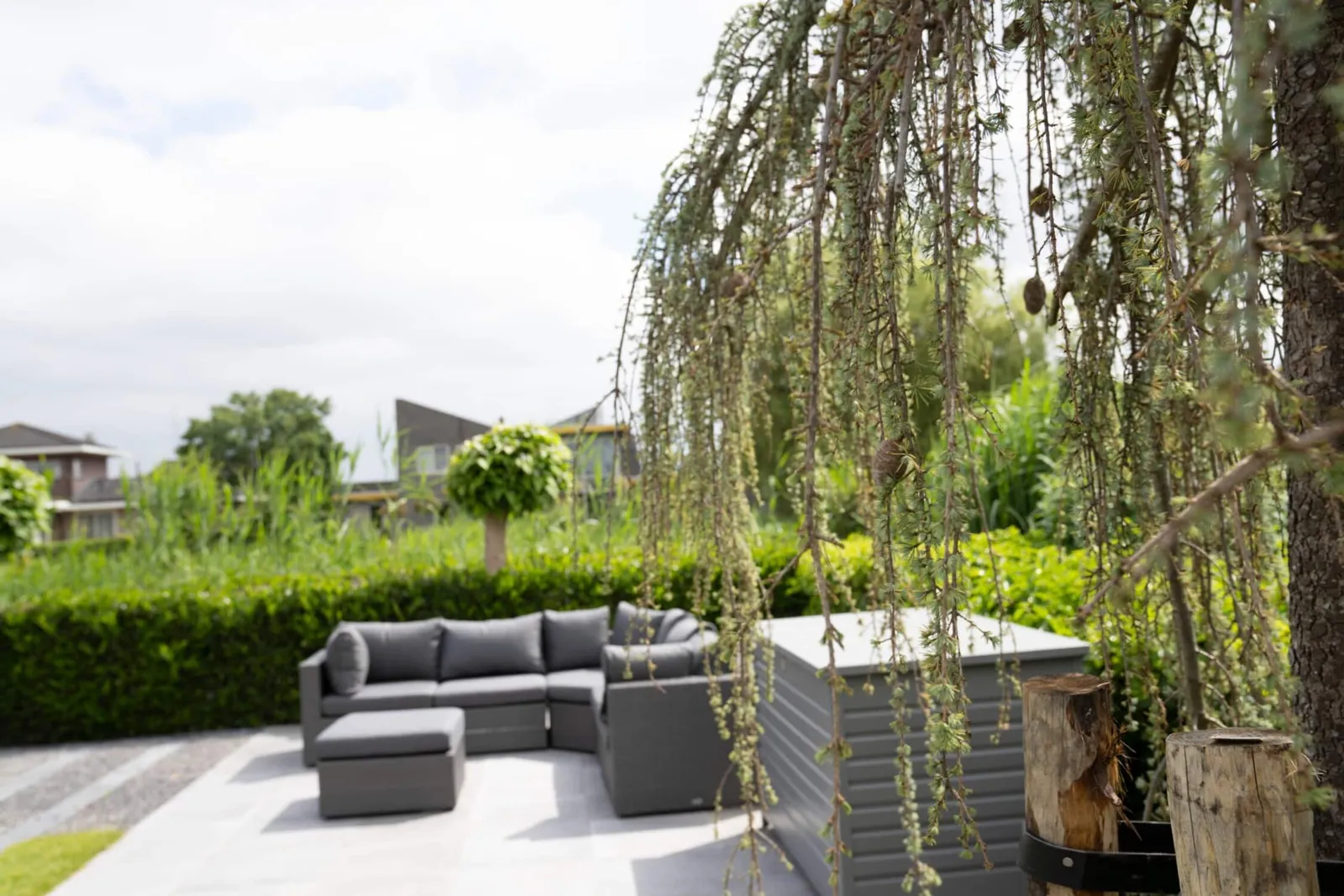 Natuurlijke tuin met speelse lijnen, grindstrook en Magnolia.