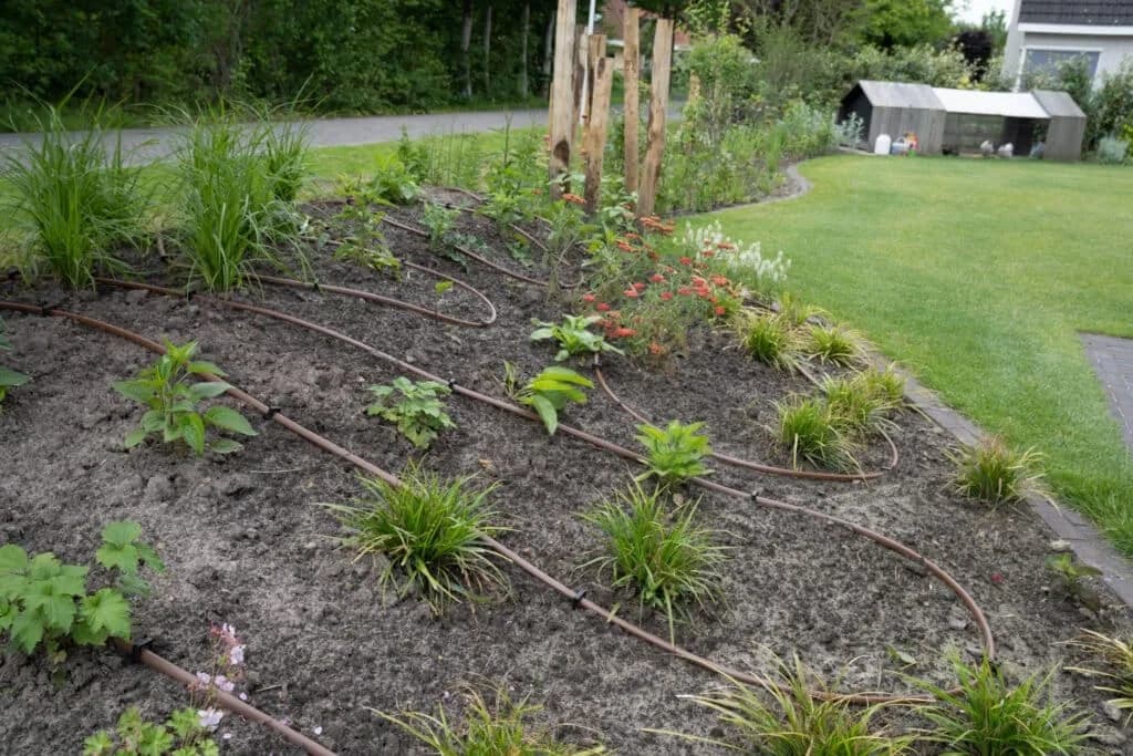 Beplantingsvak in onderhoudsvrije tuin in Drachten