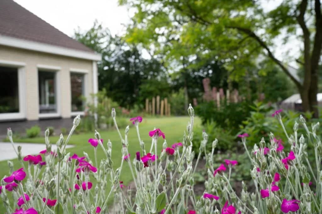 Bloeiende planten voor een moderne woning in Drachten