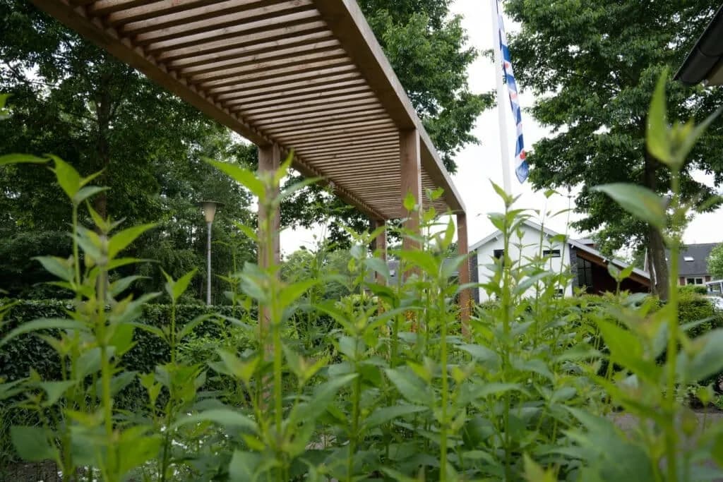Pergola en beplanting bij een woning in Drachten