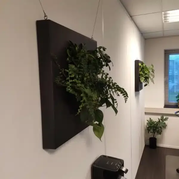 Levende plantschilderijen bij Doelgroepbereikt in Joure