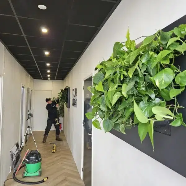 Levende plantschilderijen bij HOS Oil in Surhuisterveen