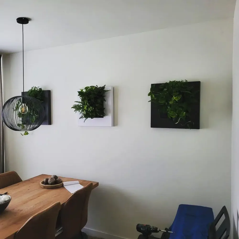 Levend plantschilderij bij een particuliere klant