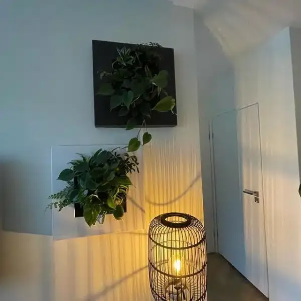 Levend plantschilderij in een particuliere woonkamer