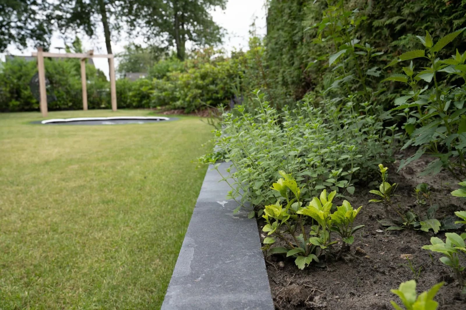 Kindvriendelijke tuin met loungeplek in Drachten, beeld 2