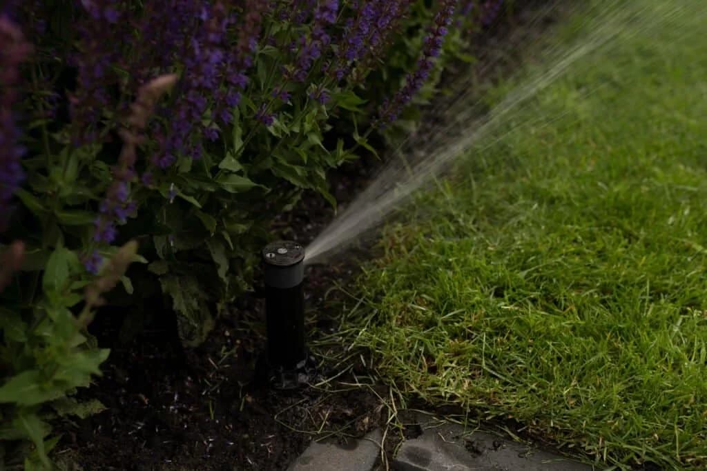 Onderhoudsvrije tuin aan het water in Leeuwarden, beeld 7