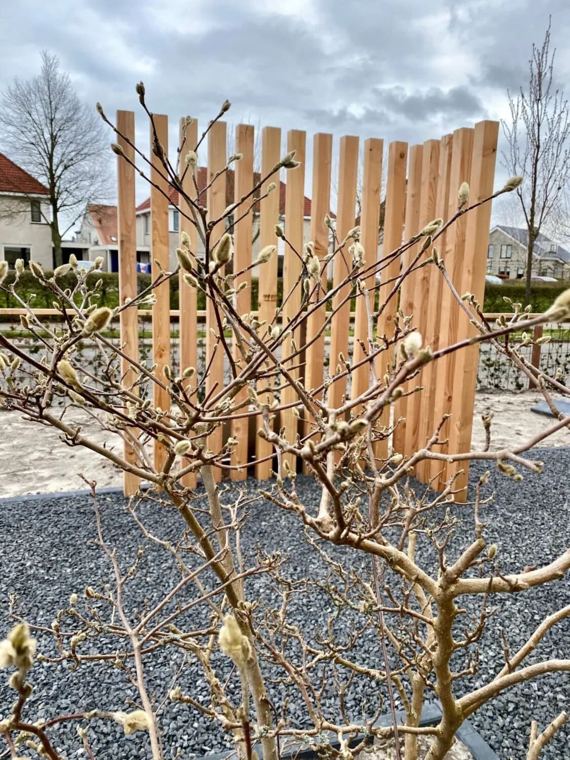 Moderne tuin met overkapping in Lemmer, beeld 8