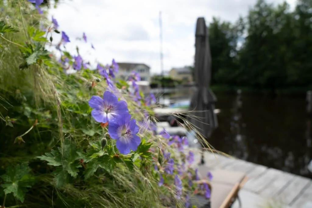 Tuin met verschillende niveaus aan het water in Drachten, beeld 4