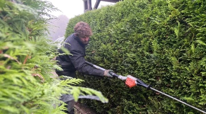 Snoeiwerk en vormbehoud tijdens een onderhoudsbeurt