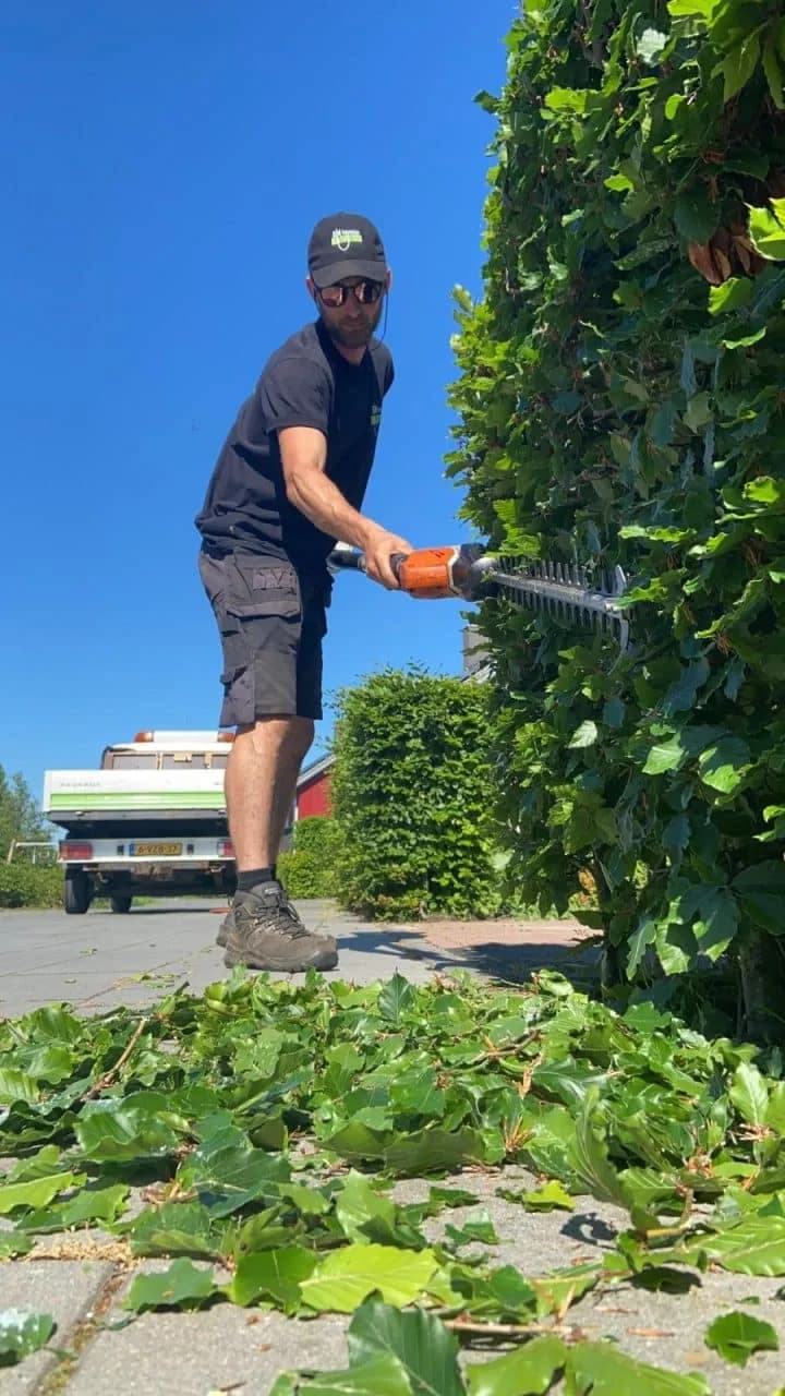 Tuinonderhoud zomer snoeien haag