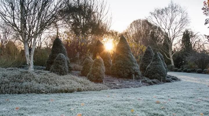 Tuinonderhoud januari
